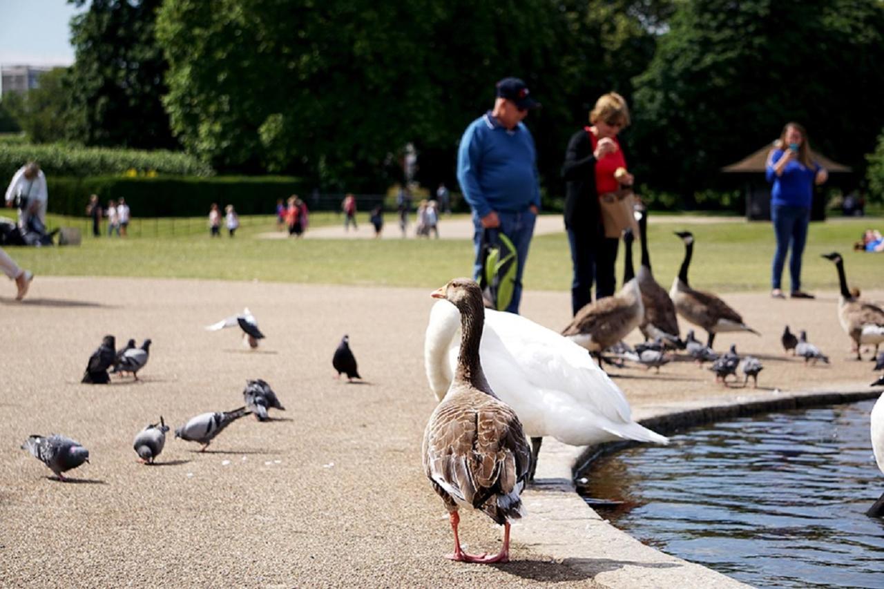Astor Hyde Park Hostel (Adults Only) London Luaran gambar